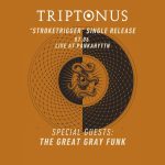 Concert poster for Triptonus and The Great Gray Funk in Vienna on June 07th, 2025.